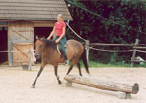 Nat&uuml;rliches Reiten auf entspannten, gutgelaunten Pferden